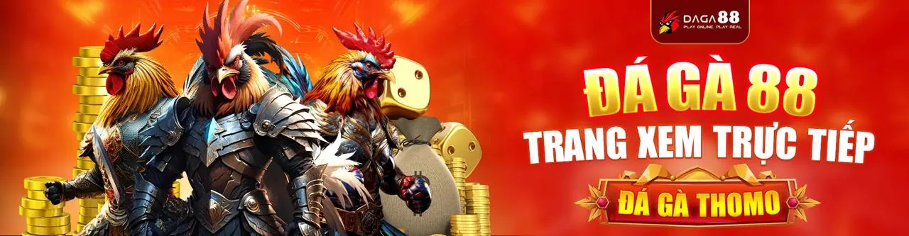 Đá Gà Trực Tuyến Hấp Dẫn tại newba5 nhà cái