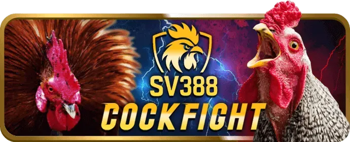 Hỗ trợ khách hàng newba5 nhà cái