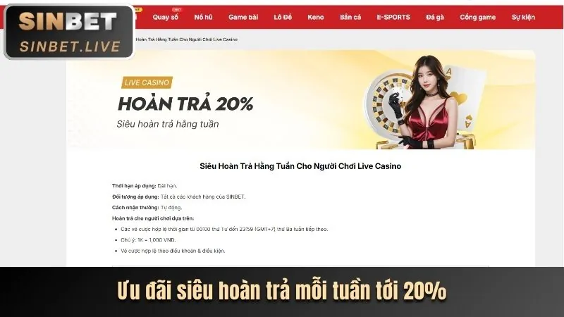 Hoàn trả cược thể thao newba5 nhà cái